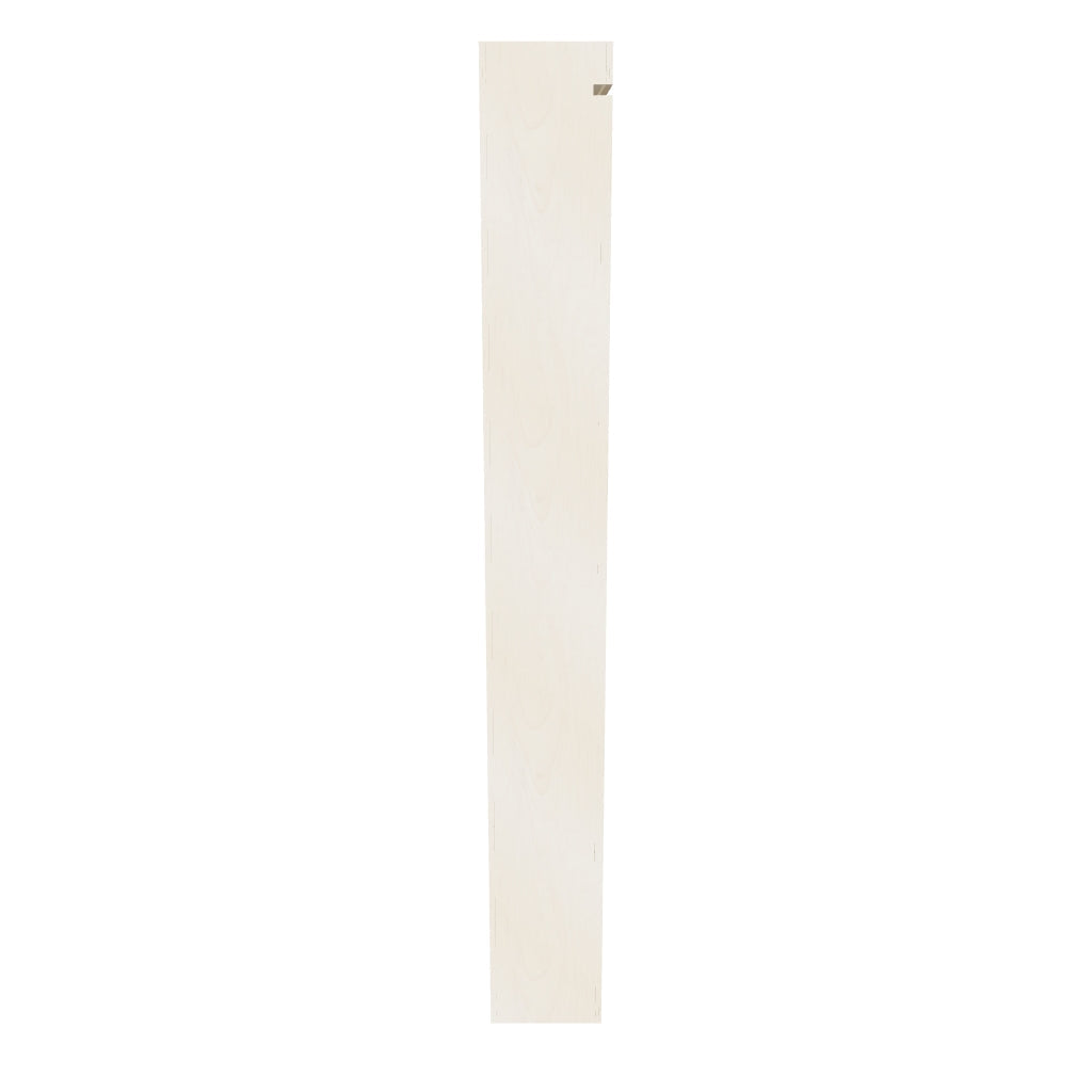 PAC Broom Pullout (Insert)
